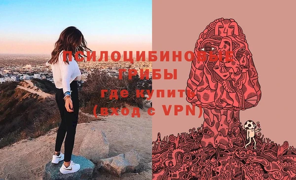 гашик Куйбышев