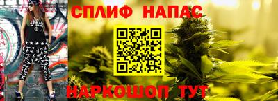 PSILOCYBIN Шебекино