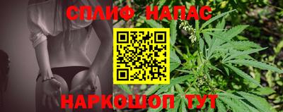гашик Жуковский