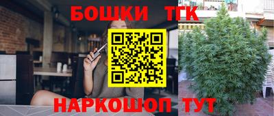 гашик Жуковский