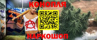МДПВ Заволжье