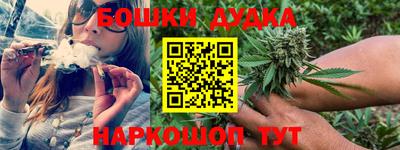 гашик Жуковский