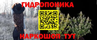 гашик Жуковский