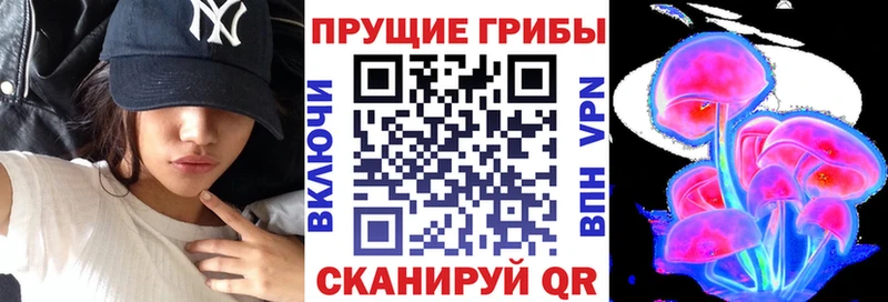 наркота Междуреченск Псилоцибиновые грибы прущие грибы