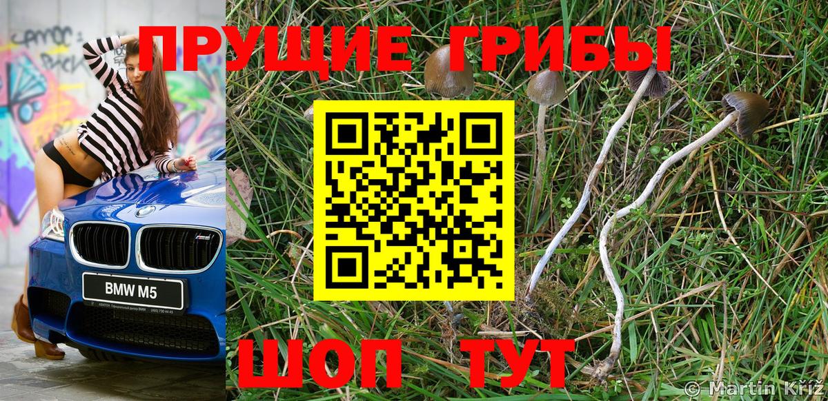 Псилоцибиновые грибы MAGIC MUSHROOMS Междуреченск