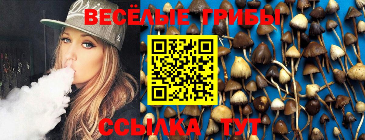 Конопля  Alpha PVP СОЛЬ кристаллы  МЕФ кристаллы  Вход с VPN  АМФЕТАМИН кристаллы  Междуреченск  Каннабис 