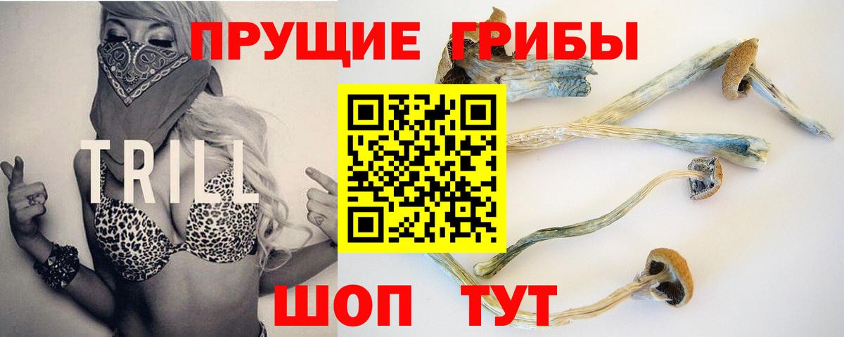 Междуреченск  Псилоцибиновые грибы MAGIC MUSHROOMS  Вход с VPN 