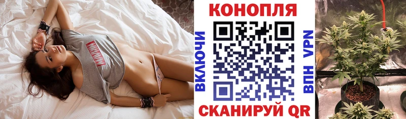 omg ТОР  Междуреченск  Конопля THC 21% 